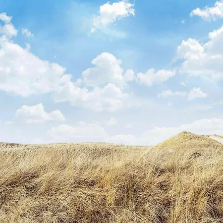Xxxix Ferienhaus Hvide Sande